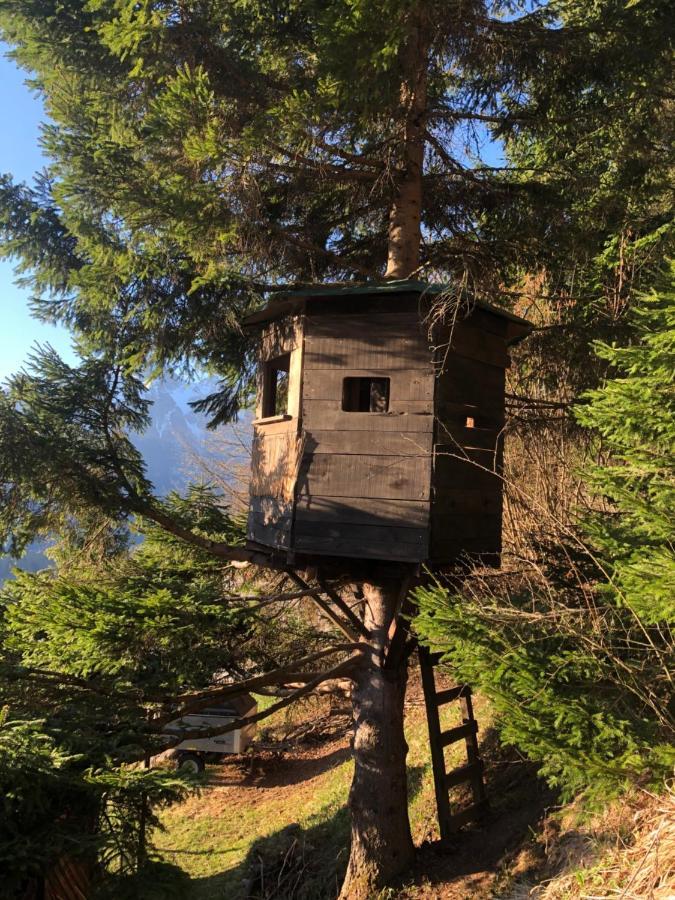 Orizzonti Montani Apartment Pieve di Cadore