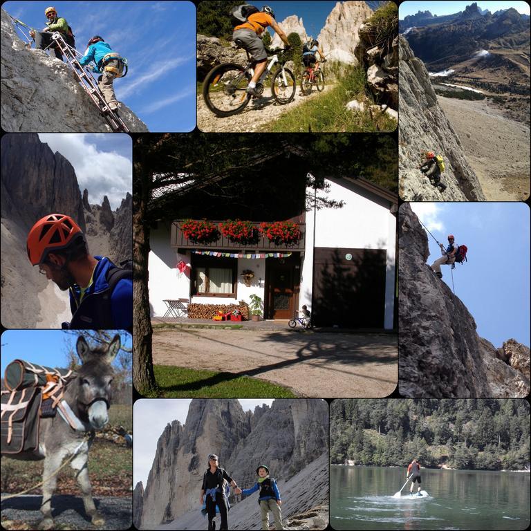 Orizzonti Montani Pieve di Cadore