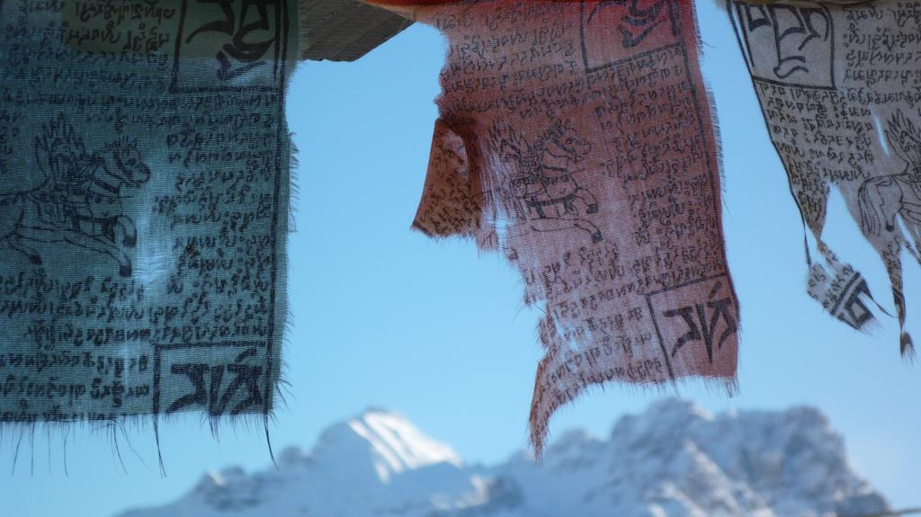 Orizzonti Montani Pieve di Cadore