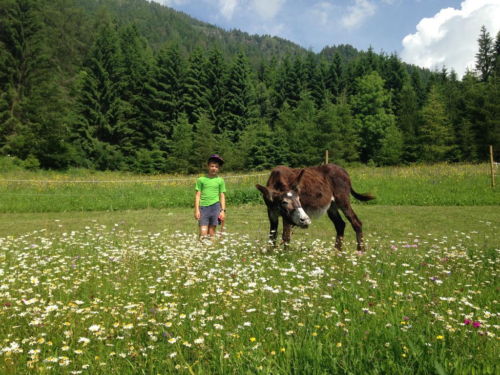 Apartment Orizzonti Montani Pieve di Cadore