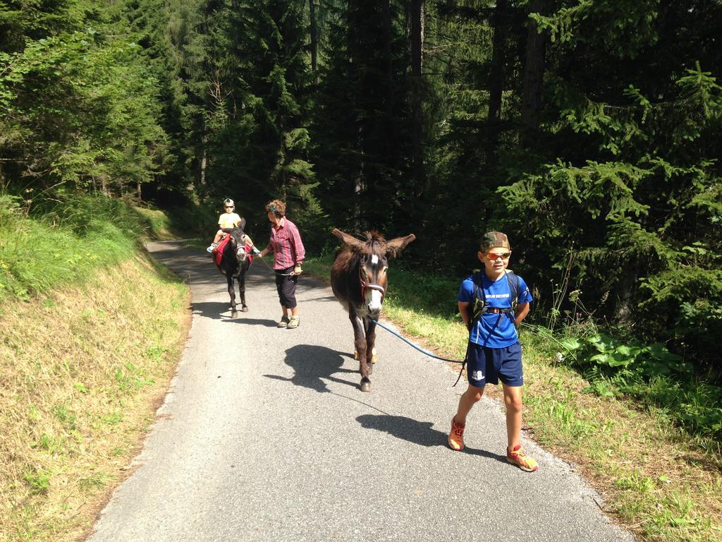 Orizzonti Montani Apartment Pieve di Cadore